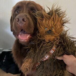 Lowball me!!!! Send an offer!